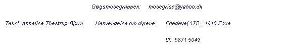 Tekstboks:                                                           Ggsmosegruppen:     mosegrise@yahoo.dk
 Tekst: Annelise Thestrup-Bjrn        Henvendelse om dyrene:      Egedevej 17B - 4640 Faxe
                                                                                                           tlf:  5671 5049
 
 
 
 
